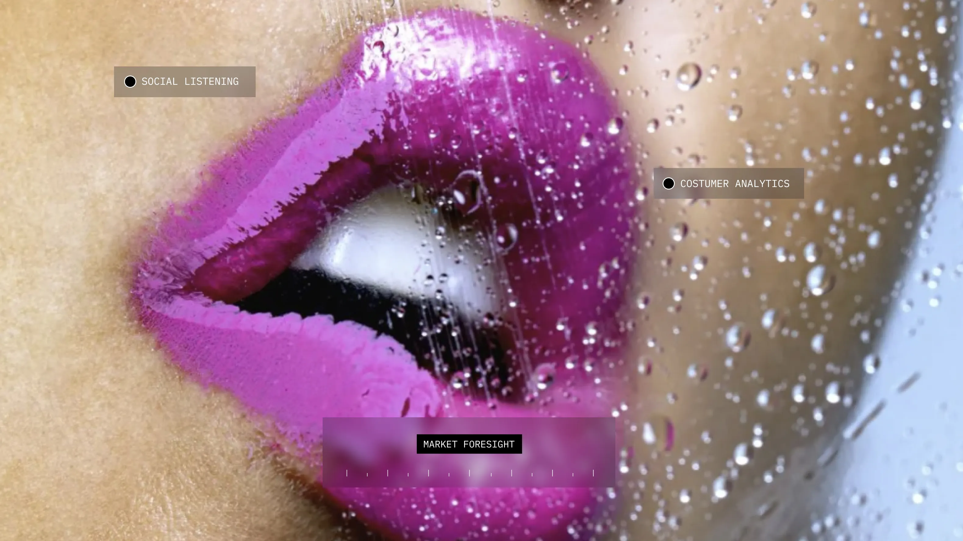 Eyva brand application — printed materials with visual system